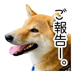 [LINEスタンプ] 日常的な会話をする柴犬_4（修正版）