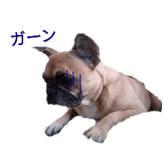 [LINEスタンプ] かわいい犬大発見4の画像（メイン）