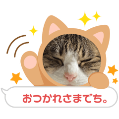 [LINEスタンプ] そらたまからのお疲れさま