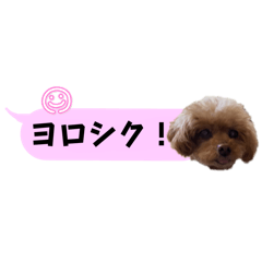 [LINEスタンプ] ふぉーえばーあろちゃん♡