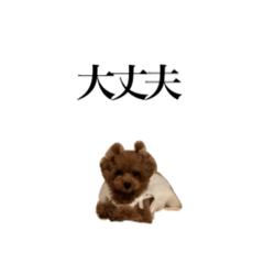 [LINEスタンプ] Go！Go！まめたん②