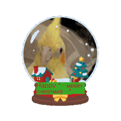 [LINEスタンプ] オカメインコのクリスマス＆年末年始ご挨拶