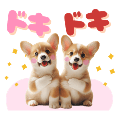 [LINEスタンプ] 一年中使える♡コーギー（敬語）