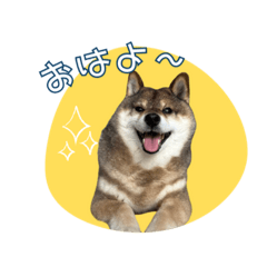 [LINEスタンプ] あずはなの花さん