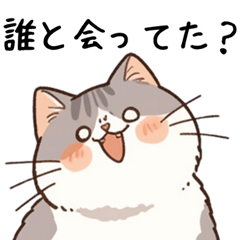 [LINEスタンプ] 浮気に物申す猫たち【不倫・嫉妬】