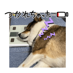 [LINEスタンプ] I♡海人 Kaito