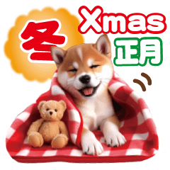 [LINEスタンプ] かわいい♡柴犬♡冬、正月、クリスマス