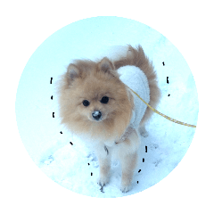 [LINEスタンプ] シンプルな はる②   雪と戯れる