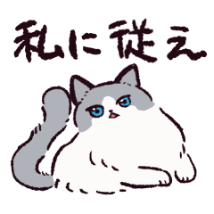 [LINEスタンプ] ラグドールです。