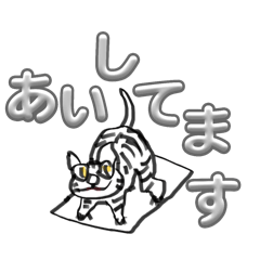 [LINEスタンプ] ヨガするへんなネコのステッカー