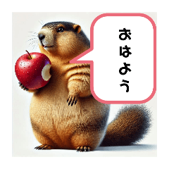 [LINEスタンプ] ちょっとリアルなマーモットのスタンプ