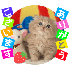 [LINEスタンプ] ねこまーち ミルクティープリンス