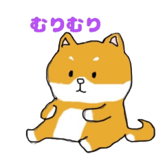 [LINEスタンプ] わんちゃん大特集