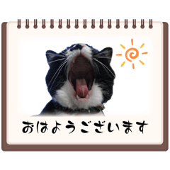 [LINEスタンプ] ウチのハナちゃんスタンプ