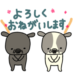 [LINEスタンプ] 動くよフレンチブルドッグ（お正月と色々）