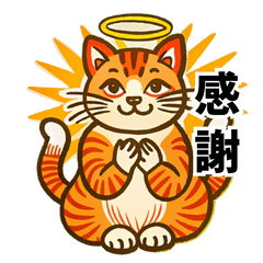 [LINEスタンプ] ねこちゃんの感情表現