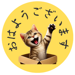 [LINEスタンプ] 「リアルなねこのLINEスタンプ」が登場！