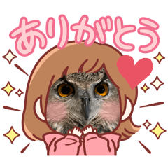 [LINEスタンプ] ユーラシアワシミミズクギルのスタンプ2