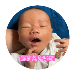 [LINEスタンプ] こんにちはキノコ6月号 改訂版