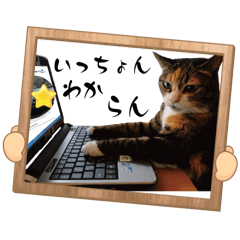 [LINEスタンプ] 本当の博多弁 〜日常使い〜