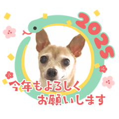 [LINEスタンプ] アイ♡スムチー 冬