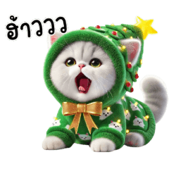 [LINEスタンプ] クリスマスツリーの衣装を着た子猫