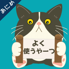 [LINEスタンプ] ハチワレぶーにゃんの日常【動くやーつ】