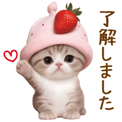 [LINEスタンプ] スコティッシュ猫とイチゴ 思いやり 敬語