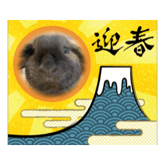 [LINEスタンプ] うごく◎わがやのうさちゃんズ