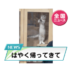 [LINEスタンプ] ねこandいんこnoスタンプ