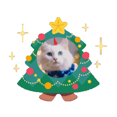 [LINEスタンプ] ほんわかクリスマス猫