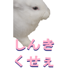 [LINEスタンプ] 江戸っ子なウサギ2ーBIG