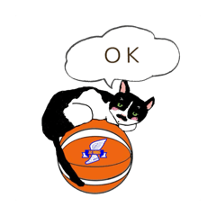 [LINEスタンプ] 柴犬と ハチワレ猫の 挨拶スタンプ
