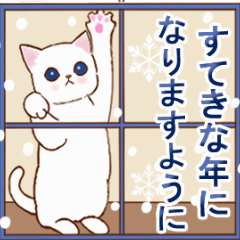 [LINEスタンプ] 動く☆冬猫のスタンプ