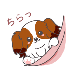 [LINEスタンプ] いぬのスタンプ⭐︎ずっと使えるコイケルVer