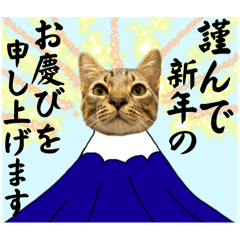 [LINEスタンプ] お酒とネコ好きな日常会話24冬の感じver.