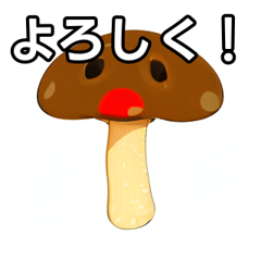 [LINEスタンプ] おしゃべりなキノコのスタンプ