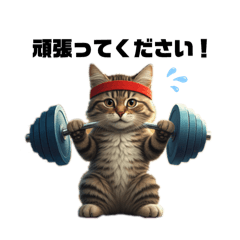 [LINEスタンプ] 投てき競技をする犬＆猫 毎日のあいさつ