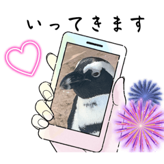 [LINEスタンプ] みてみてペンギン！