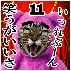 [LINEスタンプ] リアルキジトラ❤笑える猫写真11