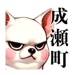 [LINEスタンプ] 成瀬町を愛する白い犬、あずき。