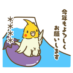 [LINEスタンプ] 【再販】正月！インコのカスタムスタンプ