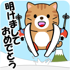 [LINEスタンプ] 飛び出す！茶トラ猫の年末年始