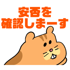 [LINEスタンプ] どうですか？どんな感じ？