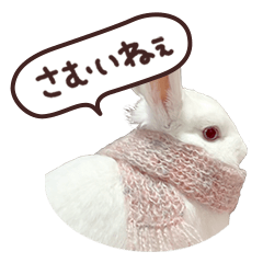 [LINEスタンプ] うさぎのふゆちゃんと冬を楽しむスタンプ