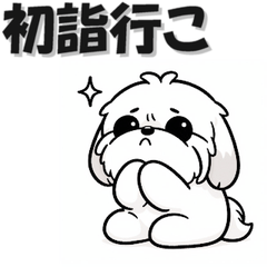 [LINEスタンプ] まいにちシーズー 年末年始編 犬 いぬ イヌ