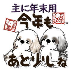 [LINEスタンプ] シーズー犬2024 『主に年末用です』