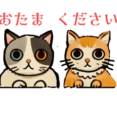 [LINEスタンプ] おたまください。ハイなー