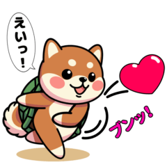 [LINEスタンプ] カメ柴#一年中使えるスタンプ