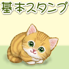 [LINEスタンプ] キラキラおめめの子猫ちゃん 基本スタンプ